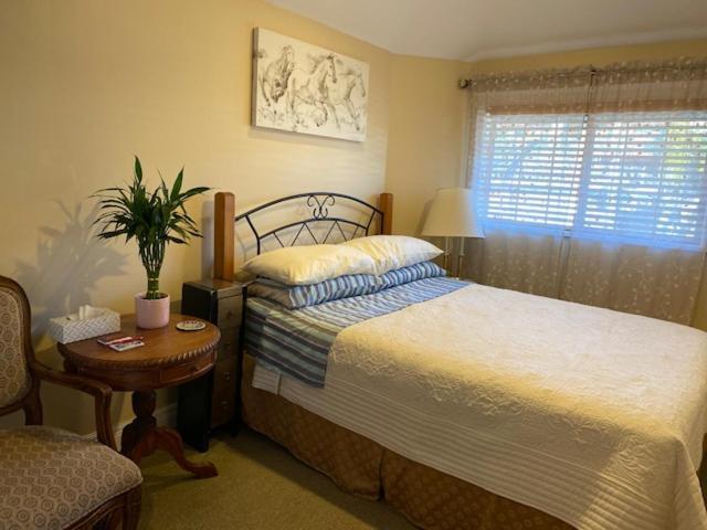 Ocean Breeze Executive Bed And Breakfast North Vancouver Eksteriør billede