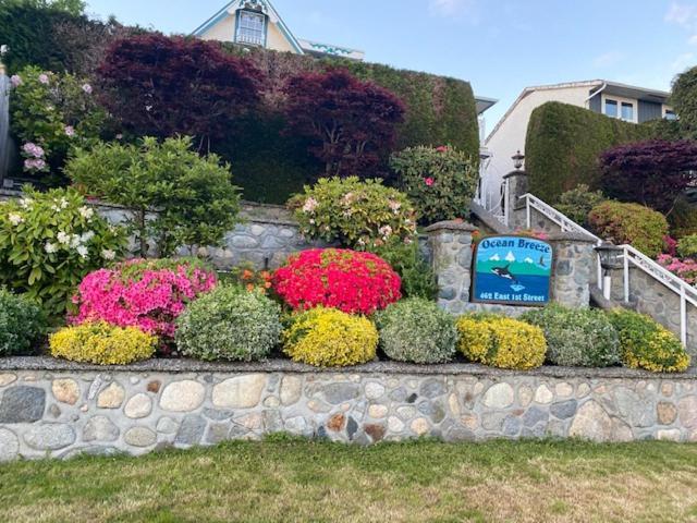 Ocean Breeze Executive Bed And Breakfast North Vancouver Eksteriør billede